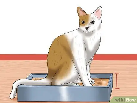 Решение проблем с подносом для кошачьего туалета Шаг 2