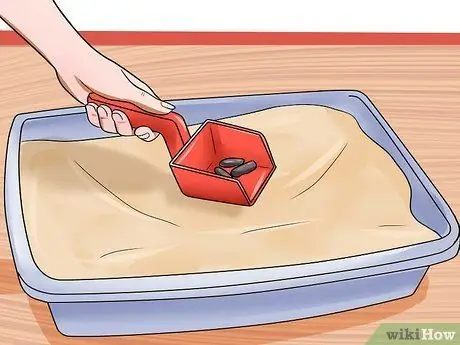 Решение проблем с лотком для кошачьего туалета Шаг 5