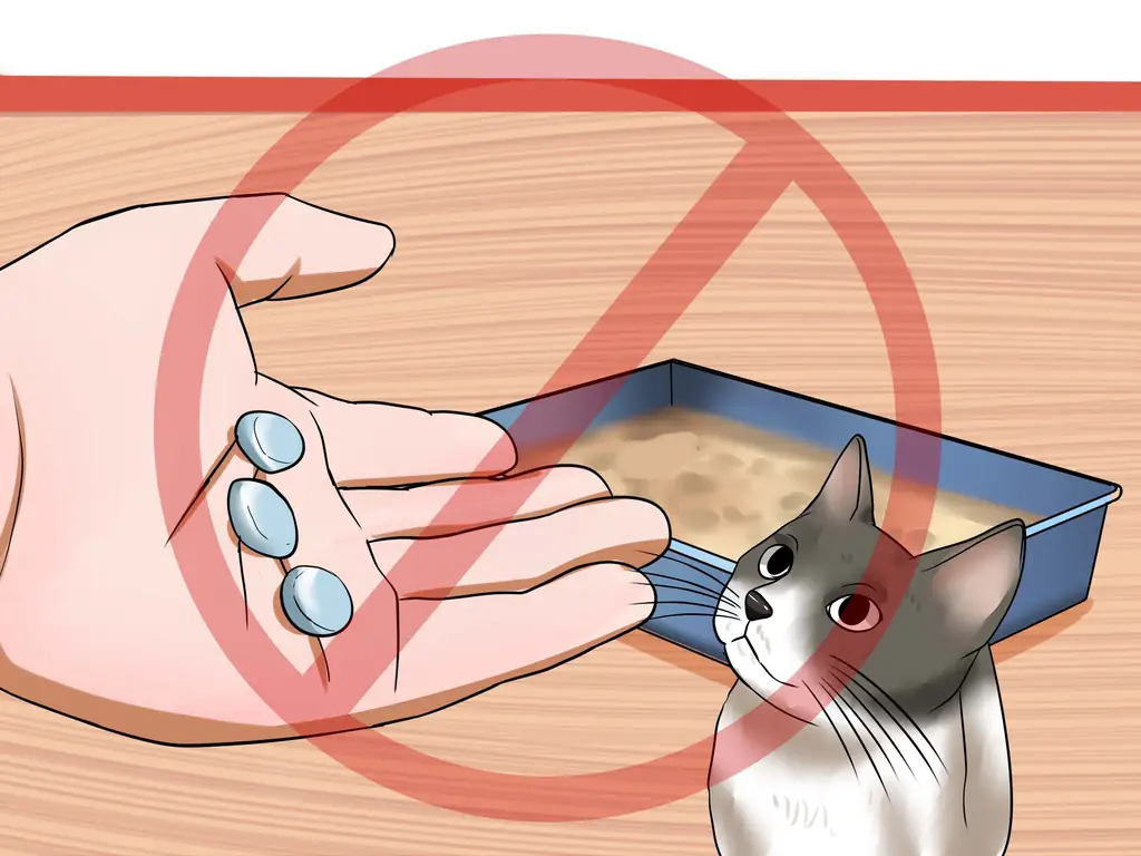 Как решить проблемы с подносом для кошачьего туалета: 13 шагов (с изображениями)