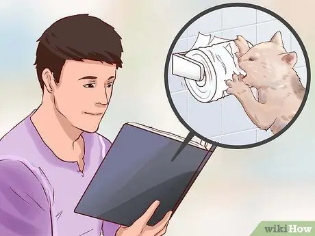 Дисциплинируйте свою кошку или котенка Шаг 2