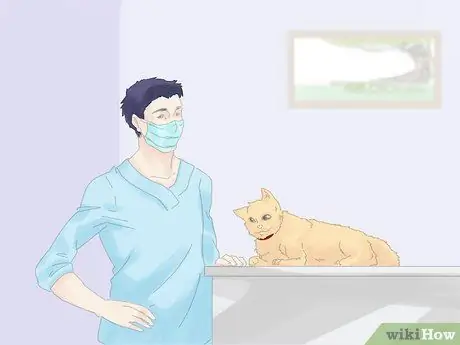 Не дать кошке убежать, когда она перемещается Шаг 1