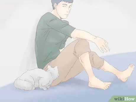 Не дать кошке убежать, когда она перемещается Шаг 10