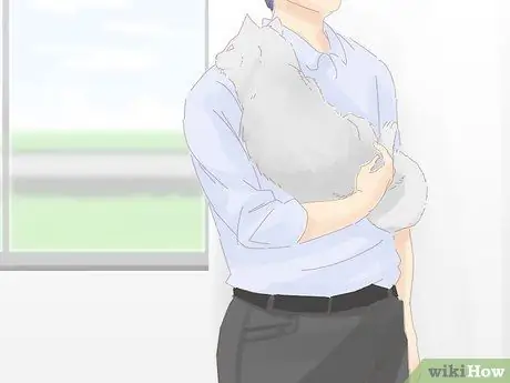 Не дать кошке убежать, когда она перемещается Шаг 11