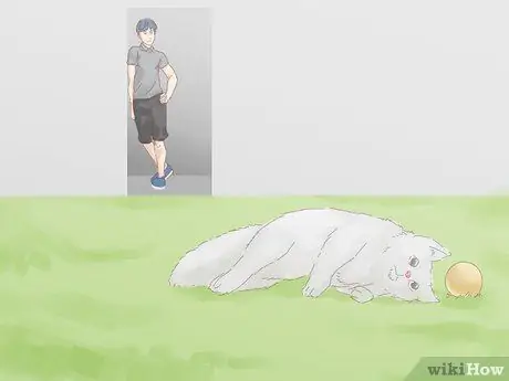 Не дать кошке убежать, когда она перемещается Шаг 14