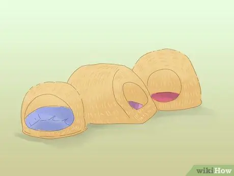 Не дать кошке убежать, когда она перемещается Шаг 3