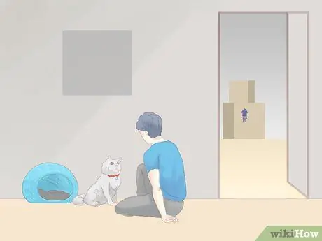 Не дать кошке убежать, когда она перемещается Шаг 4