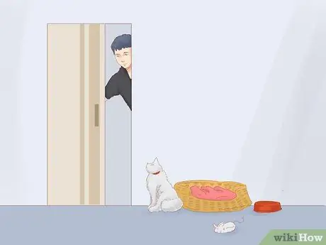 Не дать кошке убежать, когда она перемещается Шаг 5