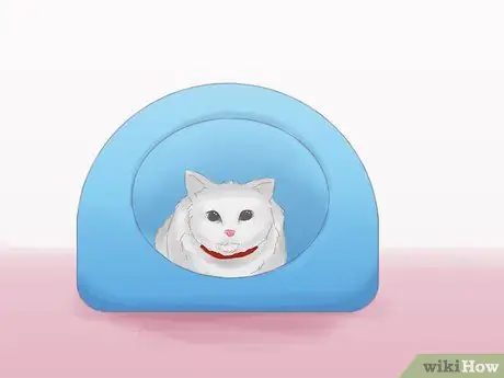 Не дать кошке убежать, когда она перемещается Шаг 6