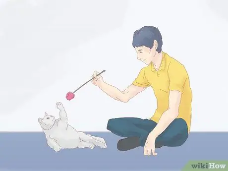 Не дать кошке убежать, когда она перемещается Шаг 7