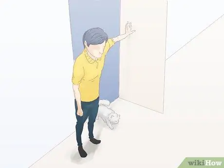 Не дать кошке убежать, когда она перемещается Шаг 8