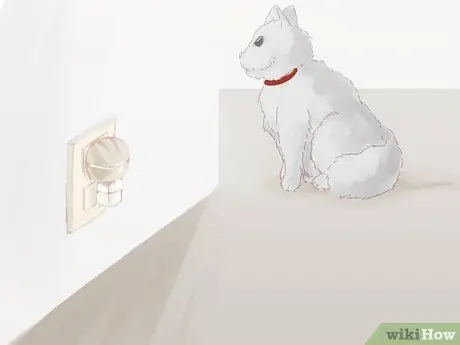 Не дать кошке убежать, когда она перемещается Шаг 9