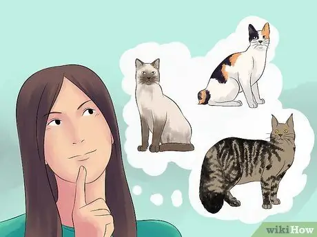 Порода кошек Шаг 1