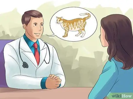 Порода кошек Шаг 14