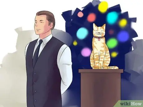 Порода кошек Шаг 2