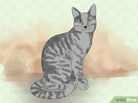 Порода кошек Шаг 4