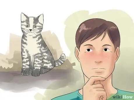 Порода кошек Шаг 7