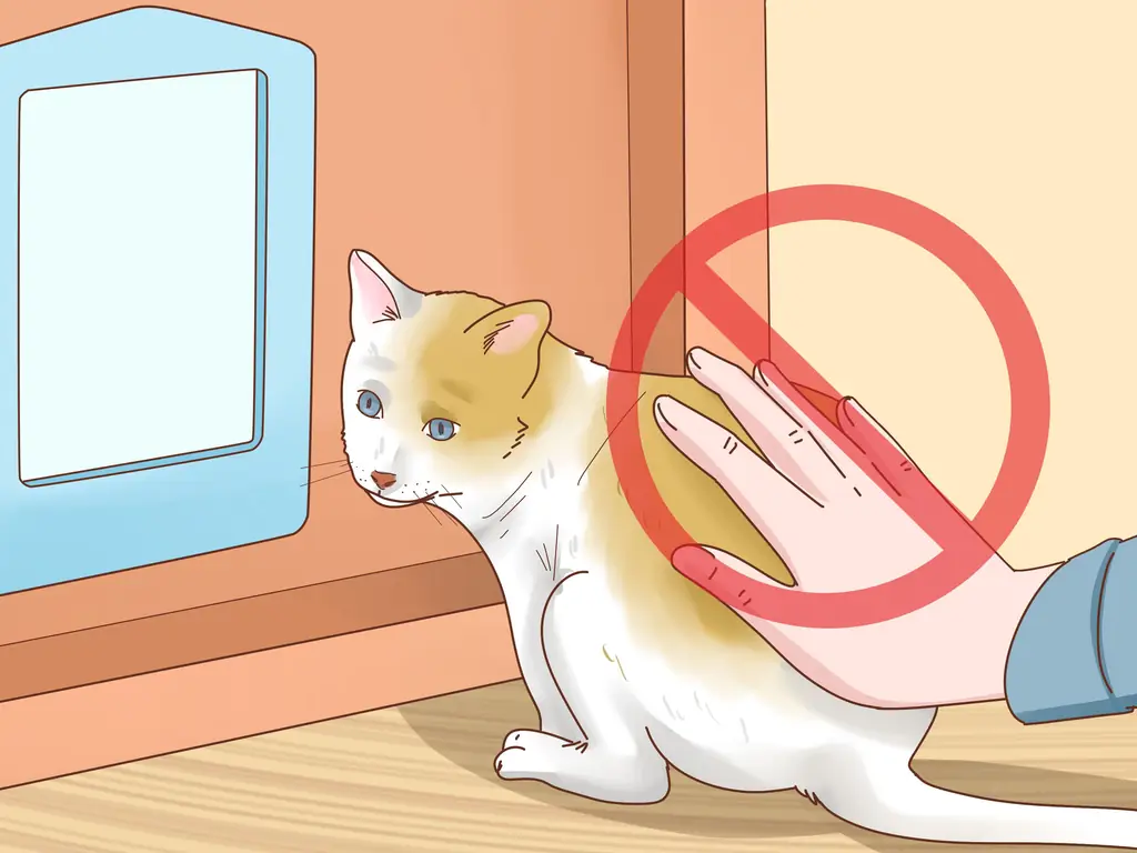 Как подогнать откидную створку кошки: 14 шагов (с иллюстрациями)