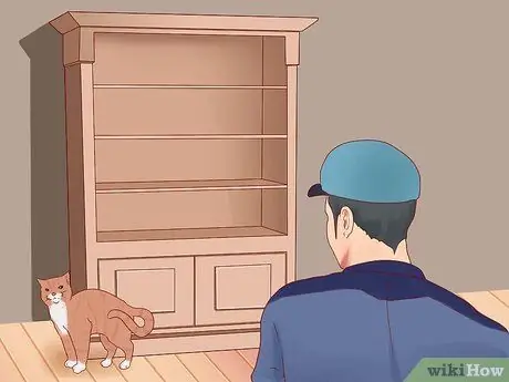Заставьте кошку войти внутрь Шаг 10