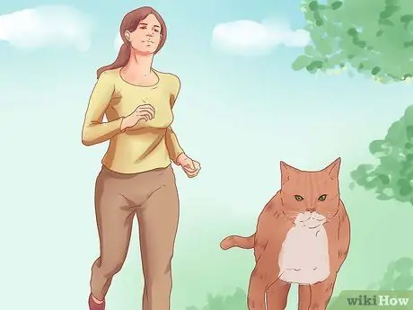 Заставьте кошку войти внутрь Шаг 5