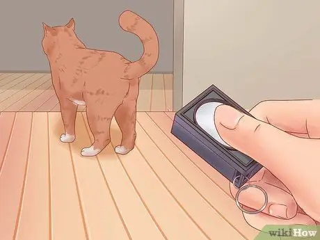 Заставьте кошку зайти внутрь Шаг 8