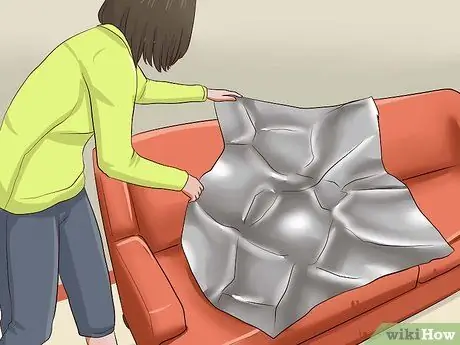 Отпугивать кошек, шаг 1