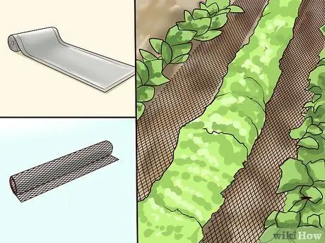 Repel Cats Шаг 11