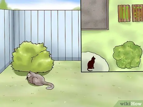 Repel Cats Шаг 12