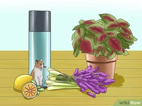 Отпугивать кошек, шаг 2