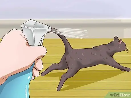 Отпугивать кошек, шаг 3