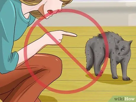 Отпугивать кошек, шаг 4