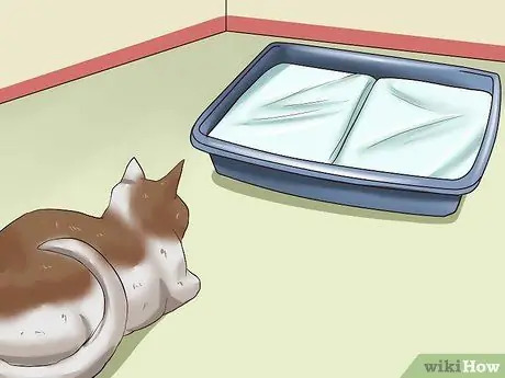 Отпугивать кошек, шаг 5