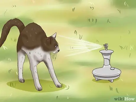 Отпугивать кошек, шаг 7