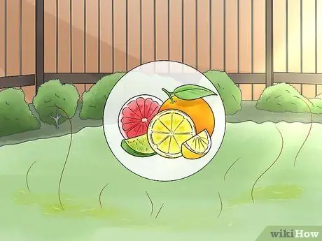 Не подпускайте кошек к вашему двору Шаг 10