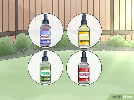 Не подпускайте кошек к вашему двору Шаг 11