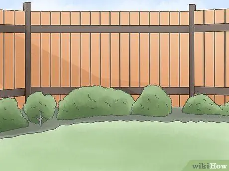 Не подпускайте кошек к вашему двору, шаг 2