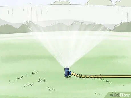 Не подпускайте кошек к вашему двору Шаг 3