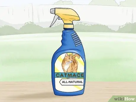 Не подпускайте кошек к вашему двору Шаг 5