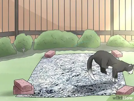 Не подпускайте кошек к вашему двору Шаг 7