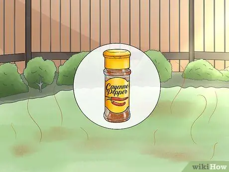 Не подпускайте кошек к вашему двору Шаг 9