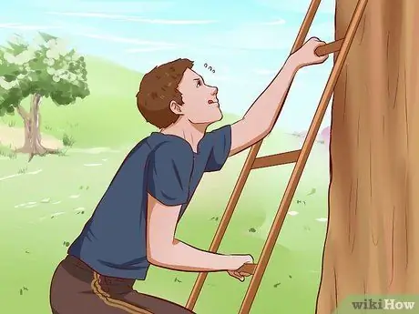 Вытащить кошку с дерева Шаг 12