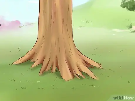 Вытащить кошку с дерева Шаг 13