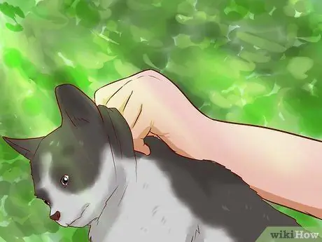 Вытащить кошку с дерева Шаг 15