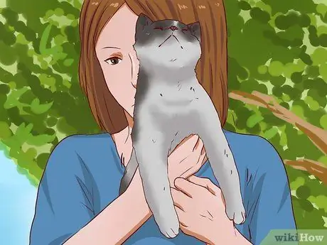 Вытащить кошку с дерева Шаг 16