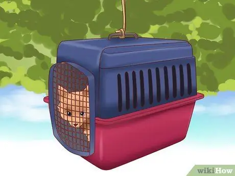 Вытащить кошку с дерева Шаг 17