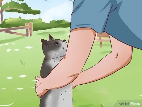 Вытащить кошку с дерева Шаг 18