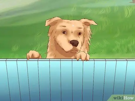 Вытащить кошку с дерева Шаг 2