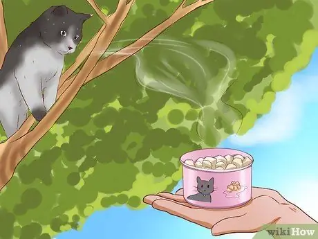 Вытащить кошку с дерева Шаг 4