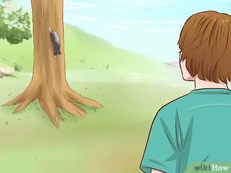 Вытащить кошку с дерева Шаг 6