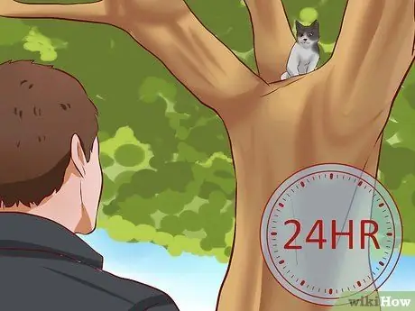 Вытащить кошку из дерева Шаг 7