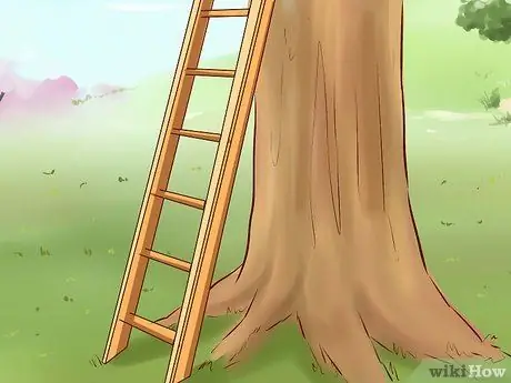 Вытащить кошку с дерева Шаг 8